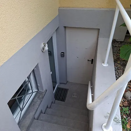 Nest